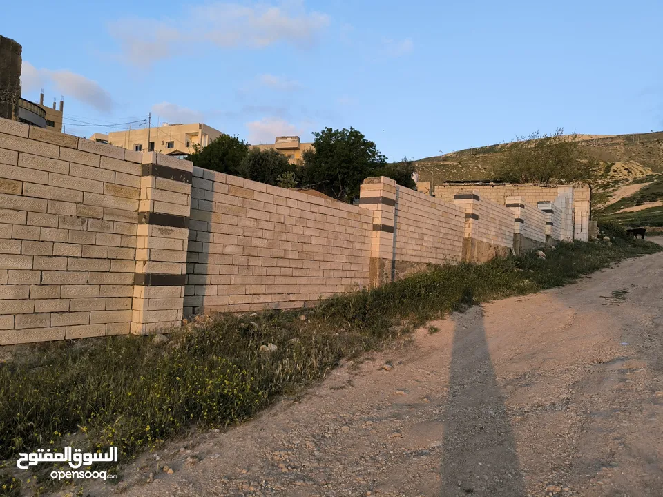 لقطة منزلين للبيع   على  ارض 2 دنم في قرية ابو نصير