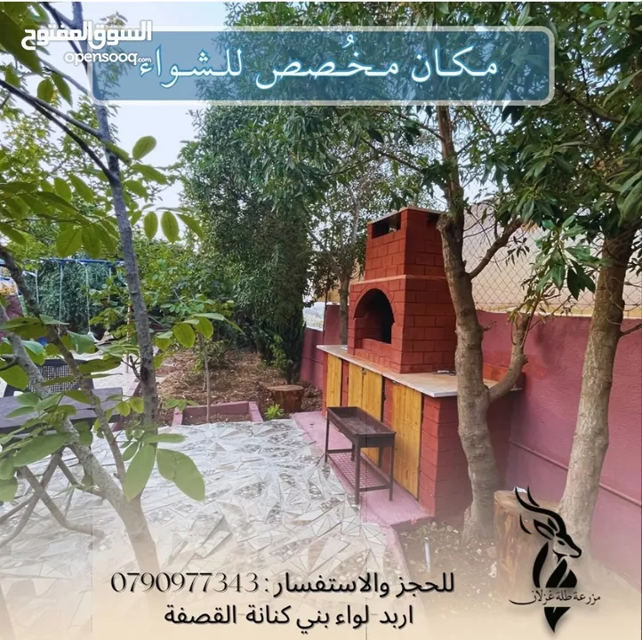 مزرعة واستراحة عائلية فاخرة مفروشة بالكامل  جلسات خارجية مظللة  مسابح خاصة شواء وبرك طبيعية