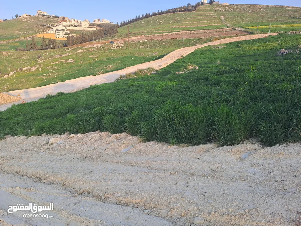 أرض للبيع في منطقة  السرو حوض ابو الهركاب