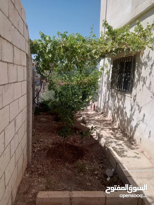بيت طابقين للبيع في منطقة النبي هود