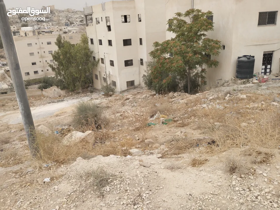 قطعة أرض مميزة في منطقة جريبا للبيع