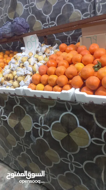 سندات خضار للبيع طولهن 14 متر اربع قطع سبب البيع السفر بسعر رمزي