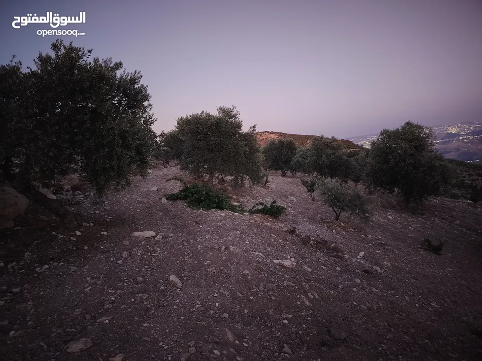 ارض للبيع مساحة4300م وعلى الواقع 12دونم تصلح بيت ريفي شاليه ارض زراعيه ويوجد فيها بيت قيد الانشاء