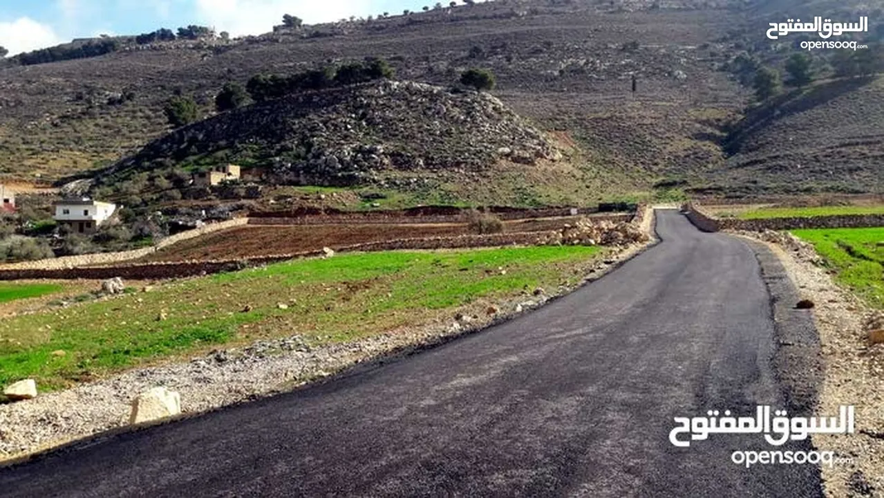 مزرعة مساحتها (5181م2 ) السلط - البطين الجنوبي مستويه و مسيجه و مشجرة بالاشجار المثمره