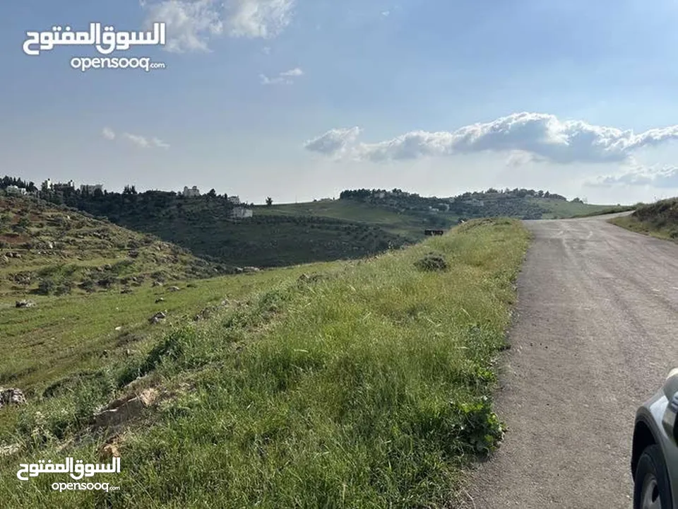 ارض 675 م غرب عمان/مرج الحمام/المشبك.عشارع اسفلت سكن ب 6 د عن دوار شوابكة والمريشد.منطقة خدمات وفلل