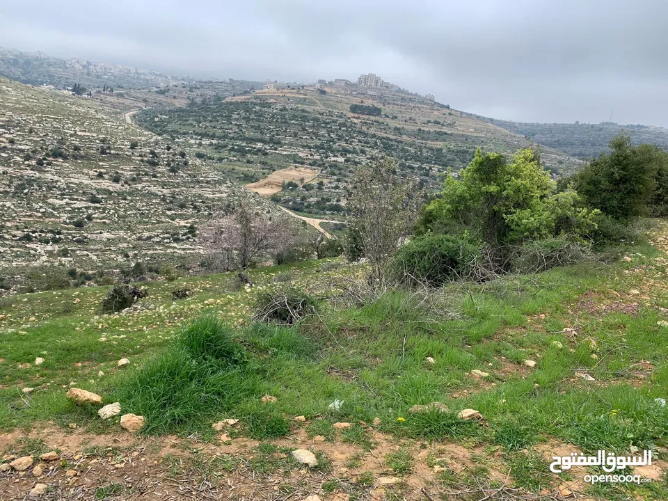 ارض مميزة للبيع منطقة ما بين حلحول و بيت امر
