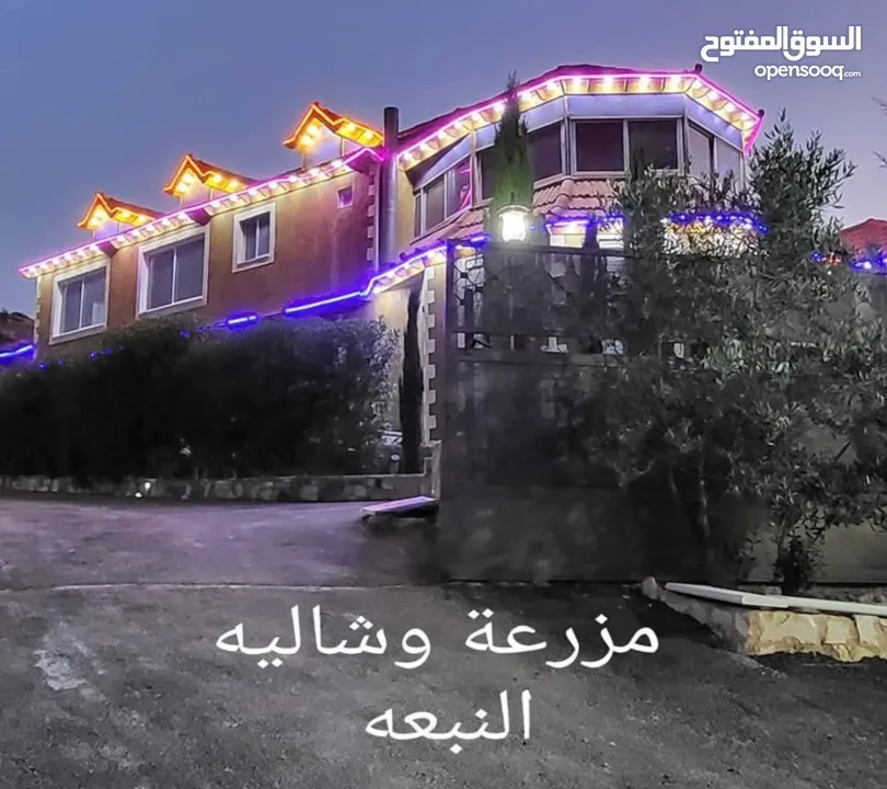 مزرعة وشاليه النبعه الايجار اليومي
