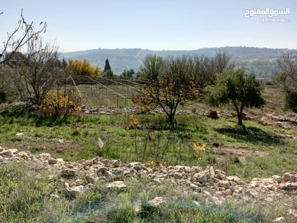 مزرعه  للبيع ..منطقه مرتفعه..وماله.. مشجره...تحتوي 2 بير ماء...مزرعة دواجن 5 آلاف طير...مخدومه كهربا