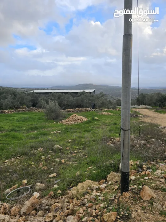 ارض للبيع تبعد عن الخط الرئسي 100 متر ارض ممتازه على شارعين وصلها جميع الخدمات