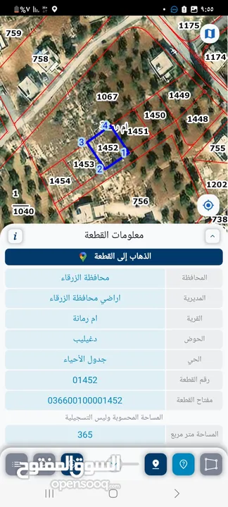 قطعه ارض للبيع في ام رمانه حوض دغيليب سكن(د) مشجره باشجار الزيتون