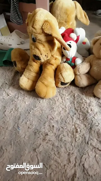 العاب اطفال محشوه للزينه واللعب بحاله جيده جدا  للبيع مجموعه او كامله
