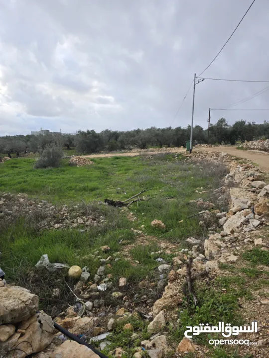 ارض للبيع تبعد عن الخط الرئسي 100 متر ارض ممتازه على شارعين وصلها جميع الخدمات