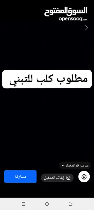 مطلوب كلب للتبني اي نووع