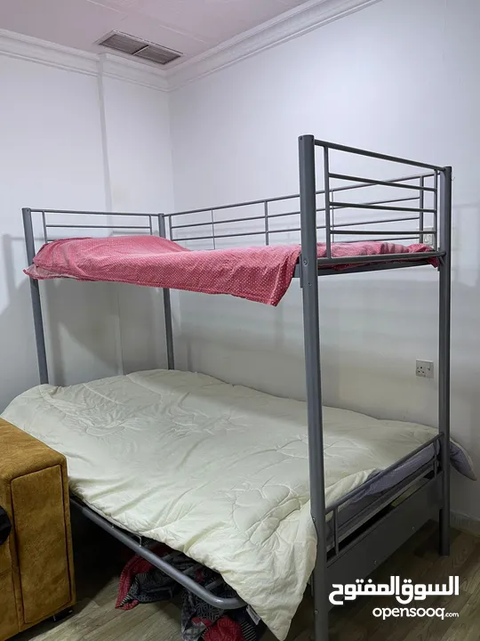 Bunk Bed Safat home