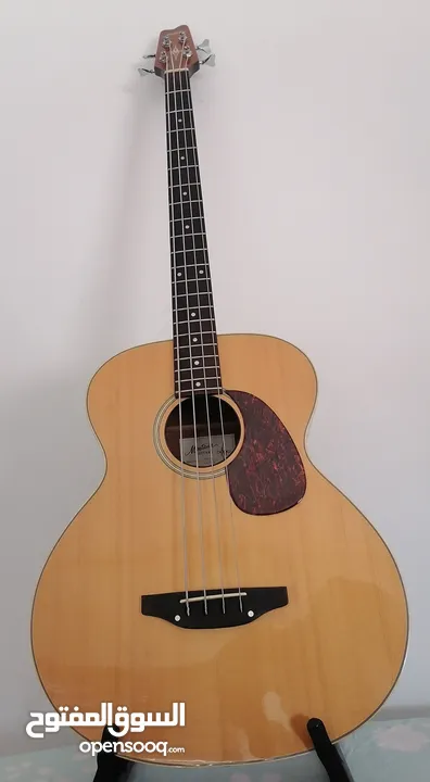 Montana acoustic electric bass guitar