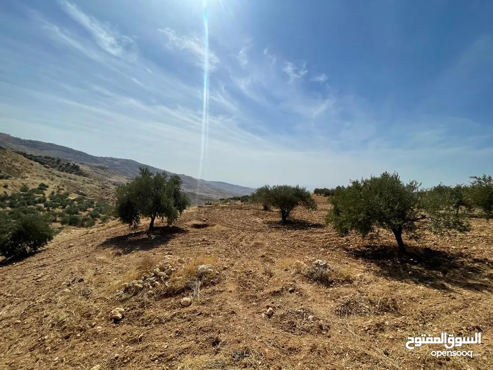 قطعة ارض زراعية مميزة ومطلة من اراضي غرب السلط -  للبيع من المالك مباشرة