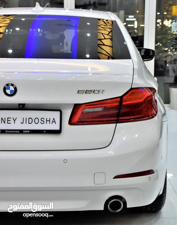 BMW 520i ( 2019 Model ) in White Color GCC Specs