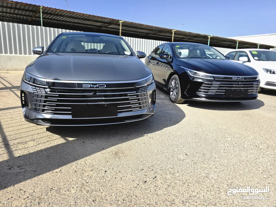 2024 BYD Destroyer