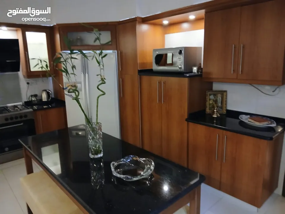 شقه طارق ارضي