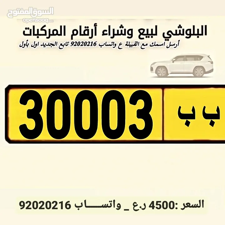 للبيع رقم 30003/ب ب