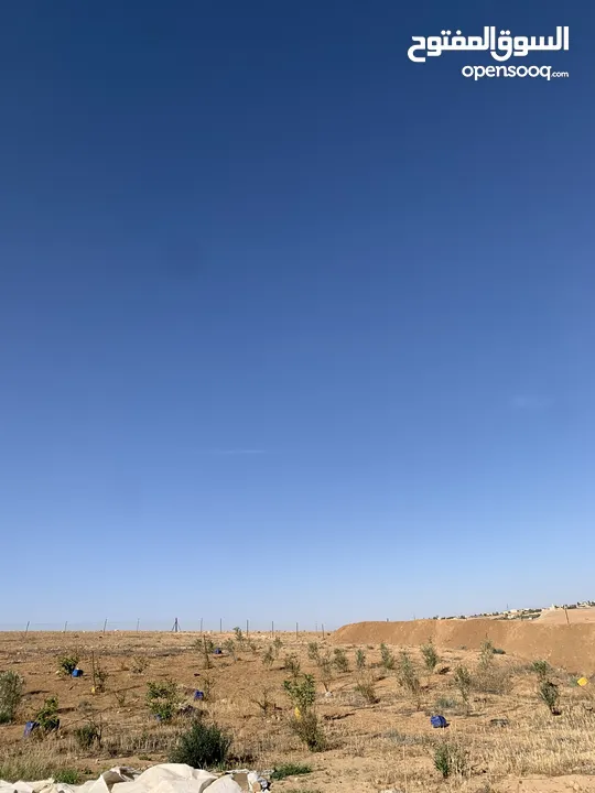 ارض للبيع  في الجميل أم رصاص    دنوم 8بسعر مغري