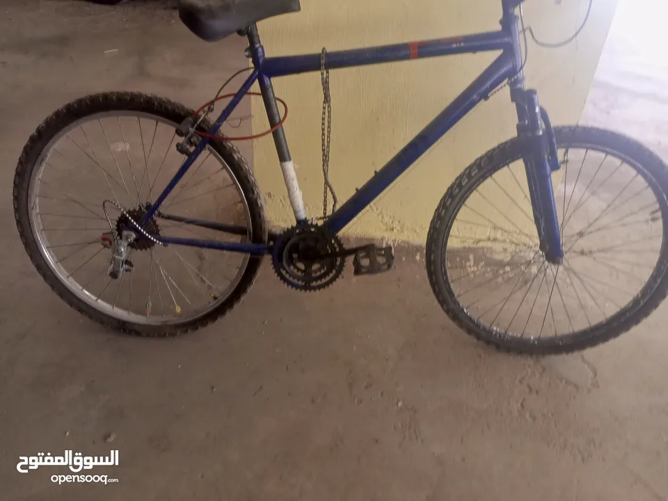 بسكليتات للبيع