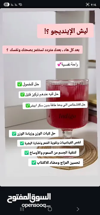 مشروب Indigo طبيعي غني بالمكونات النباتية  Indigo مشروب نباتي لتعزيز النشاط  مشروب صحي بنكهة طبيعية