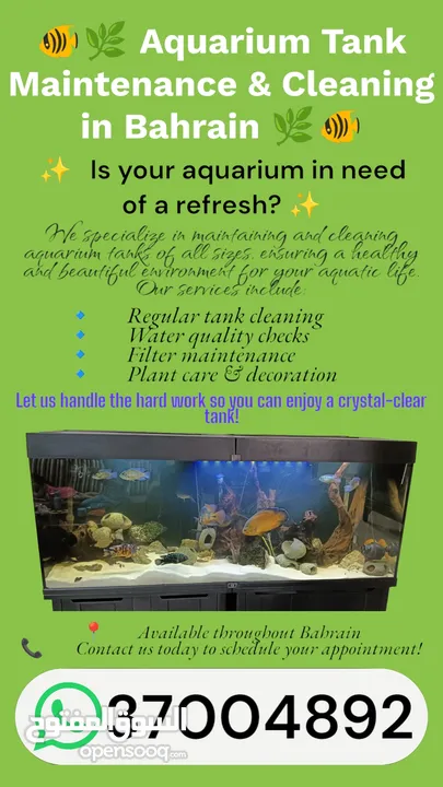 Aquarium Tank Maintenance and Cleaning.