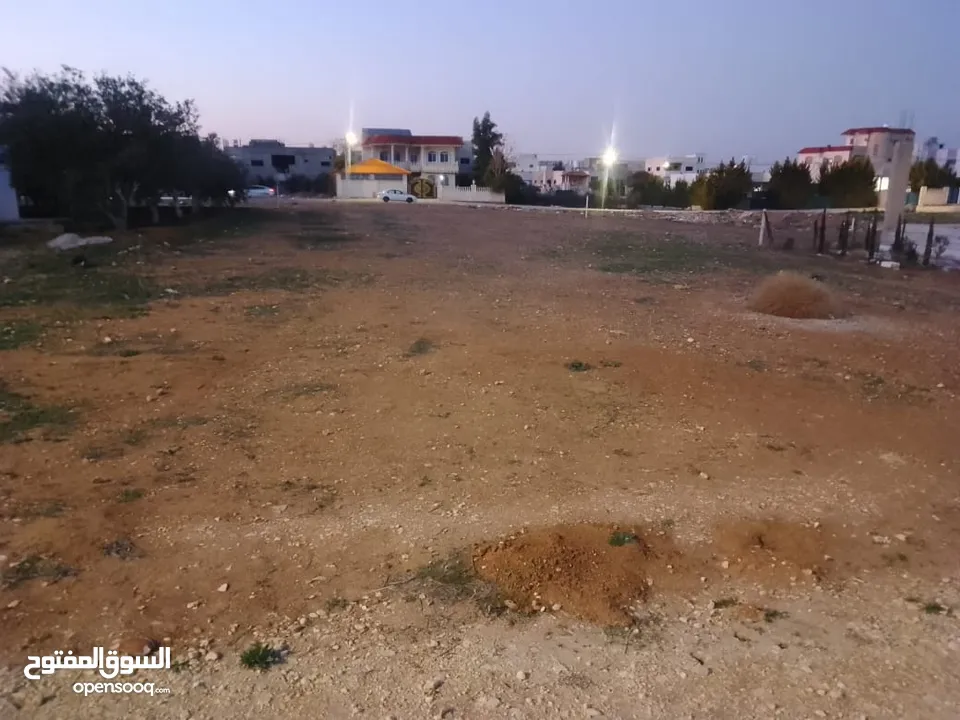 ارض بالرمثا للبيع
