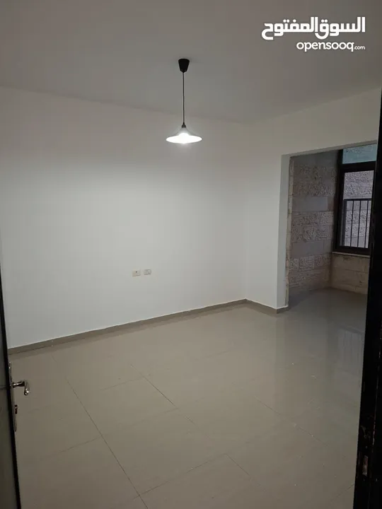 ابو زين ابراهيم