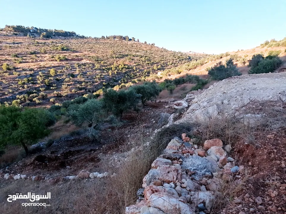 ارض للبيع في كوبر  تبعد 5 كيلو تقريبا عن جامعه بيرزيت