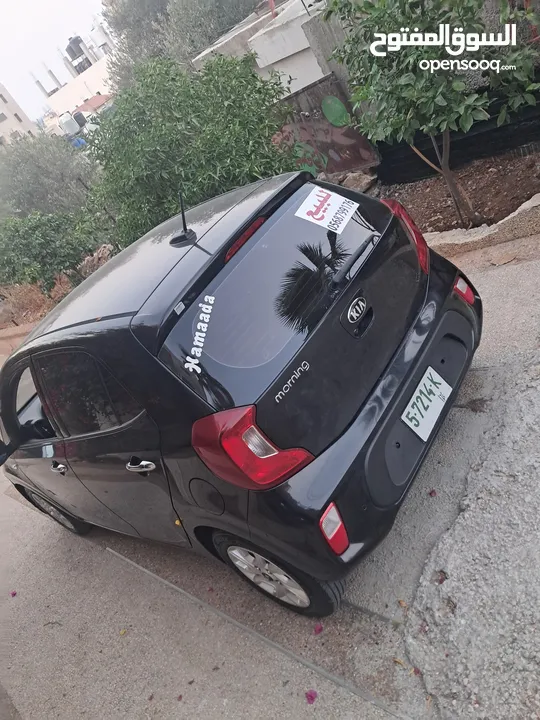كيا مورننج 2019 فحص نظيف