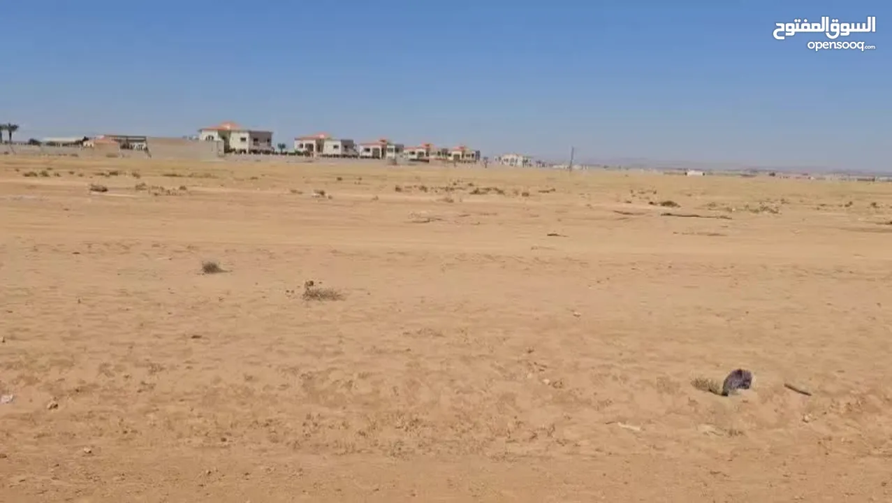 ارض استثمارية للبيع او للأجار