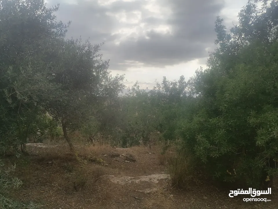 قطعه ارض 240 متر للبيع بسعر مغري