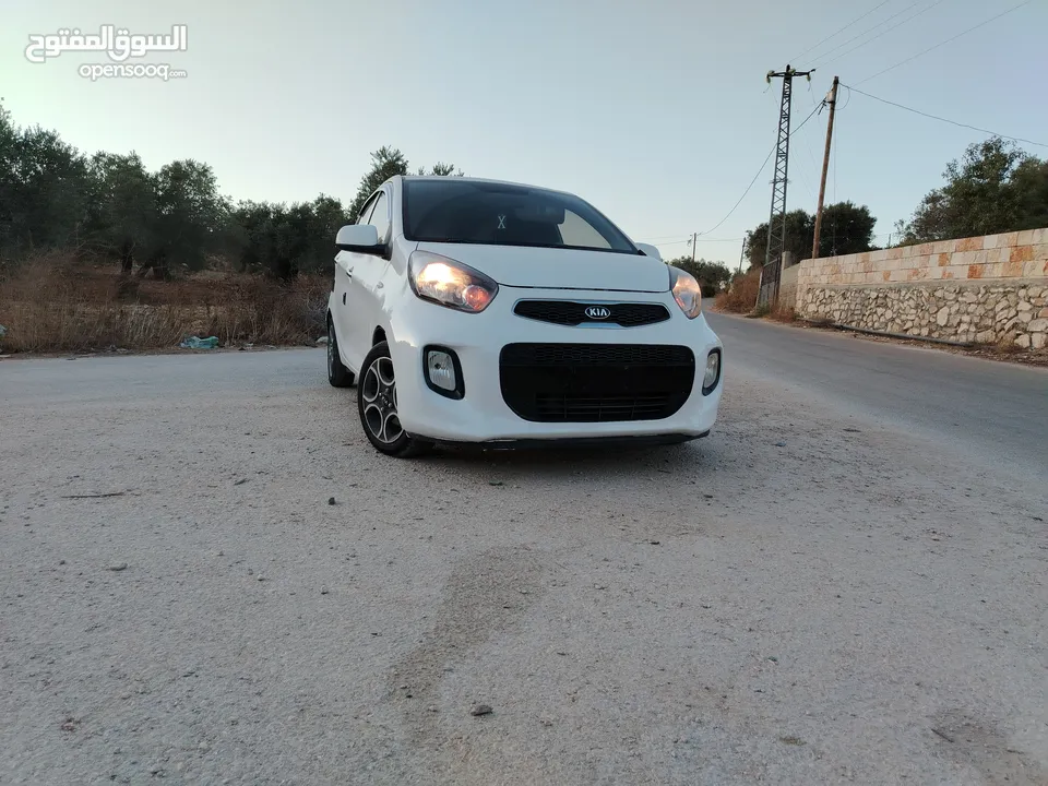 بكانتو... مورننج 2016برايفت اصل كوري