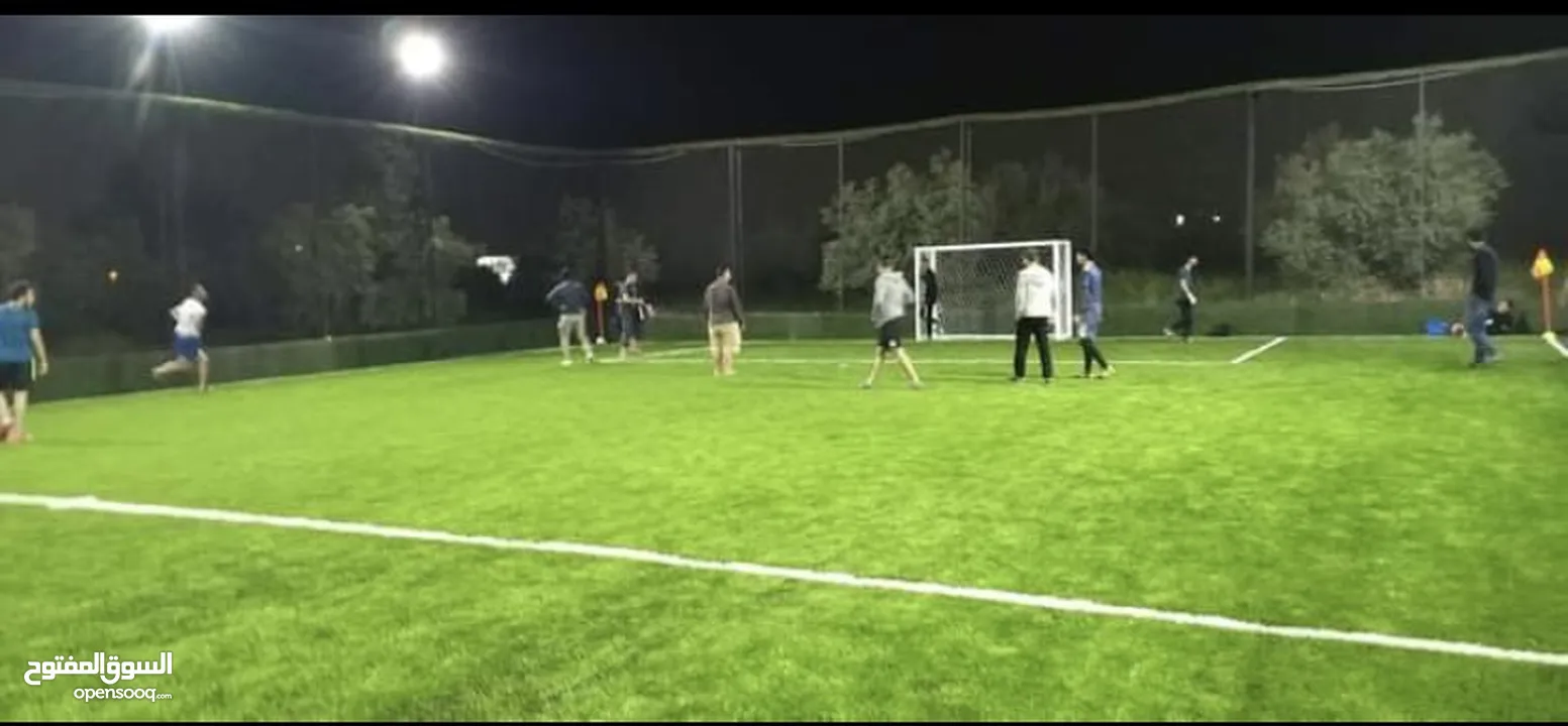 عشب ملاعب / عشب حدائق / عشب مدارس / عشب مزارع / عشب صناعي/ نجيل / تارتان Playground grass