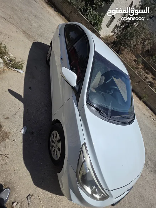 مهند شافعي شافعي