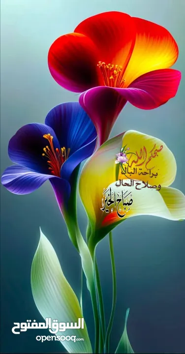 قطعه أرض للبدل على سياره