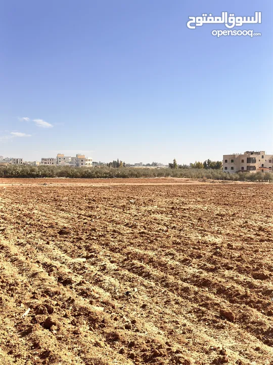 ارض مميزة بسعر مغري اليادودة الفريط