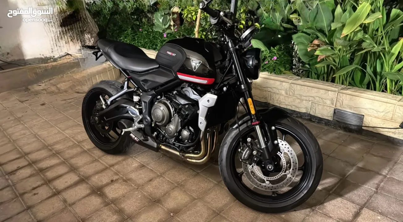 2024 Triumph Trident 660