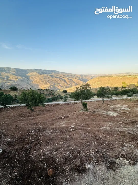 أرض مميزه _الصبيحي _ بيوضه الشماليه