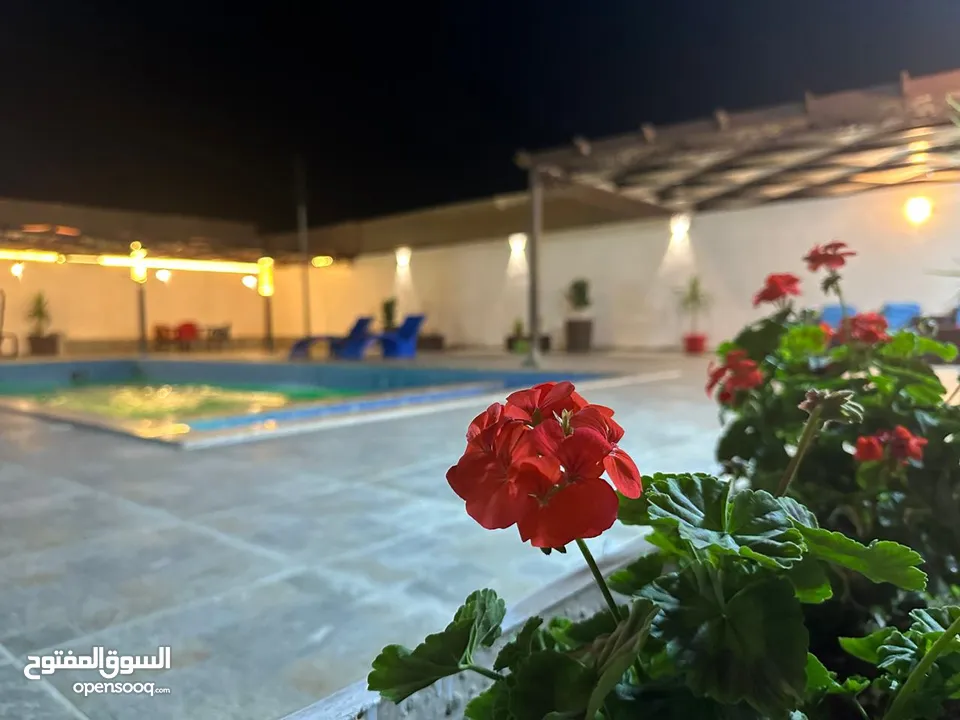 مزرعة نور الشمس بيرين صروت إيجار يومي او شهري
