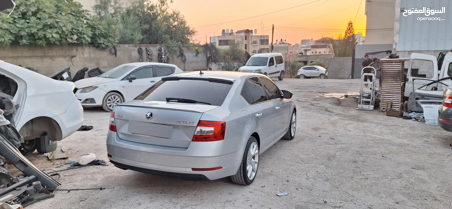 يزيد المصري