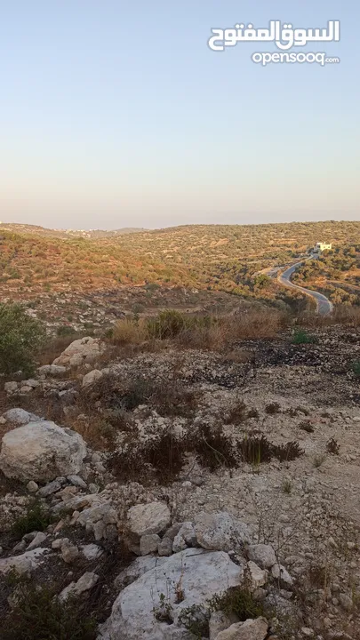 القبة الذهبية  شارع بلعا-دير الغصون