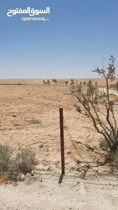 ارض للبيع من المالك في الموقر الحنيفيه