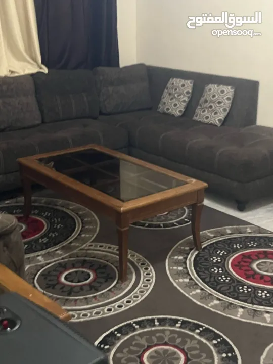 استوديوهات وشقق مفروشه للايجار اليومي والاسبوعي والشهري من المالك