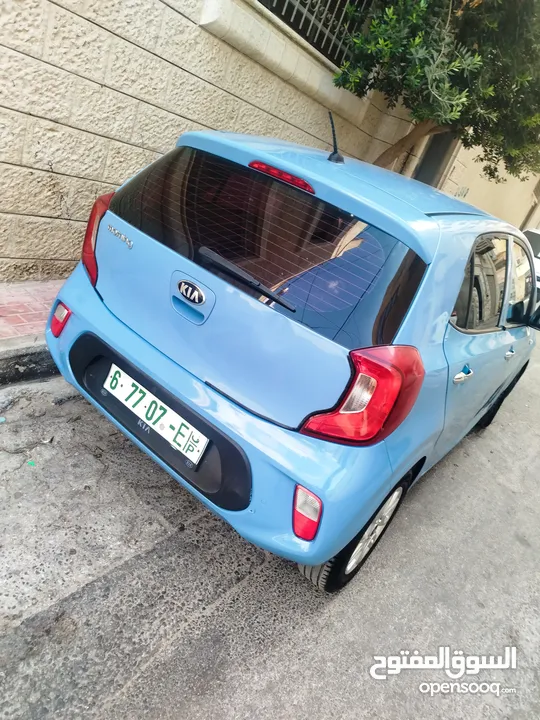 بصمه فل فحص نخب19