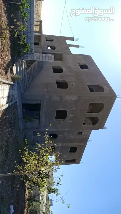 فيله للبيع