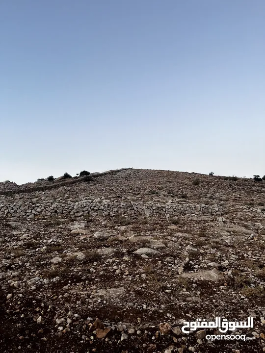 تملك الان فرصة العمر قطعة ارض من اراضي غرب عمان مطلة على فلسطين و الاغوار و البحر الميت و سد الكفرين