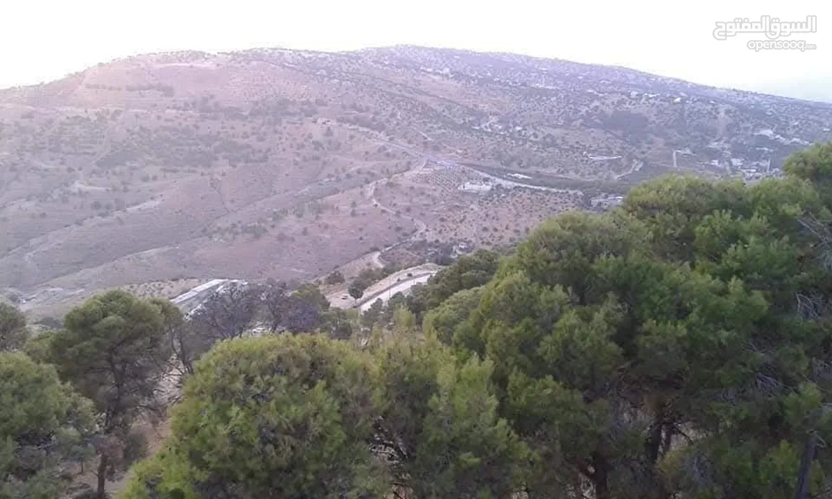 مزرعة و شاليه للبيع قرب منتزه زي مدينة السلط